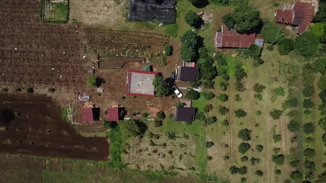 Aerial drone view showing farm buildings, gardens, and bungalows nestled in Bolaven Plateau forests