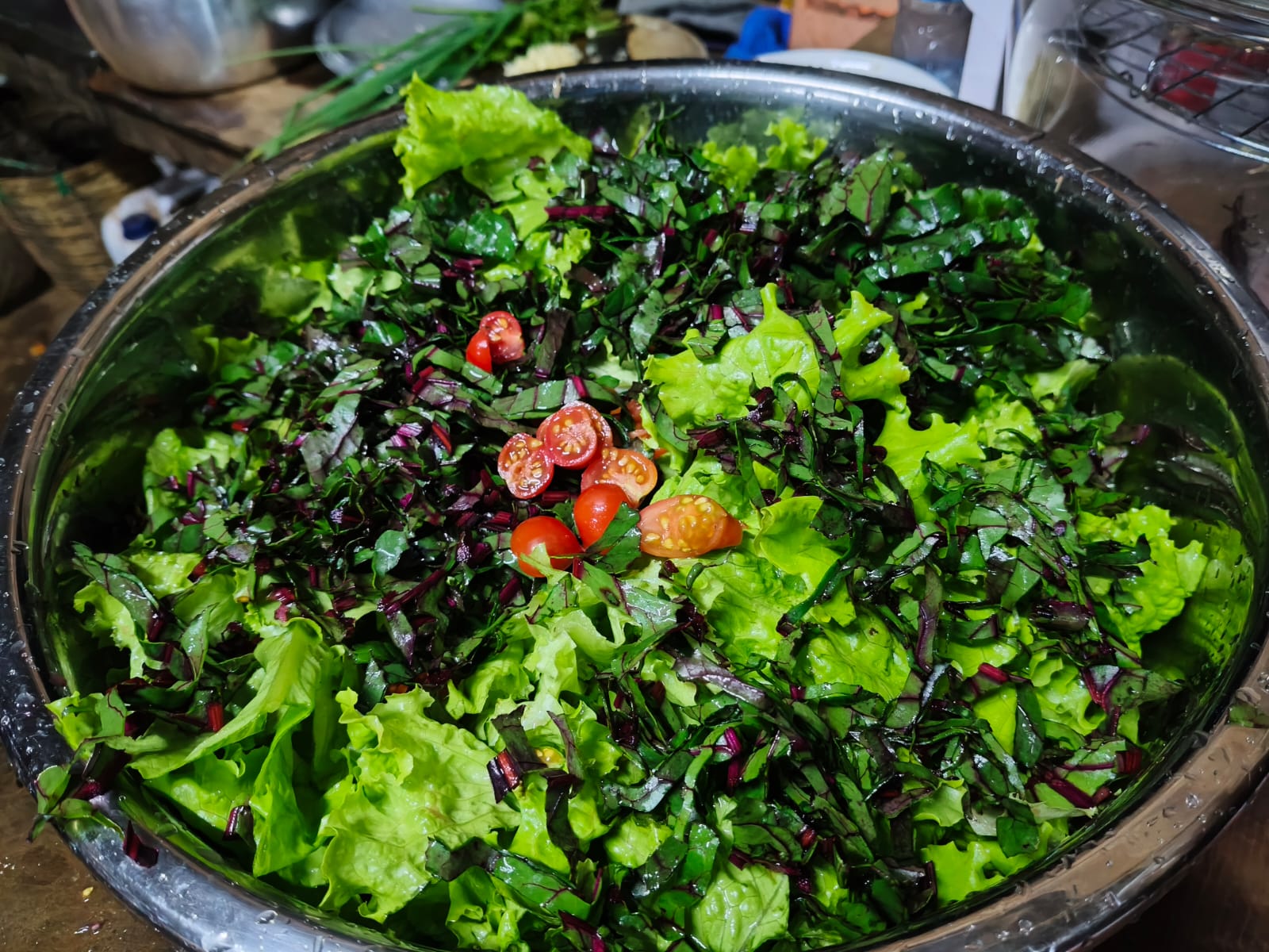 Fresh farm-to-table salad at Shared Happy Farm